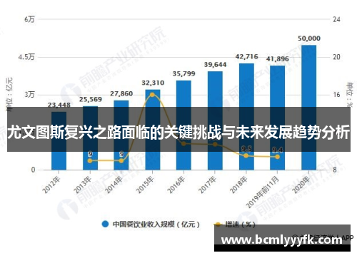 尤文图斯复兴之路面临的关键挑战与未来发展趋势分析